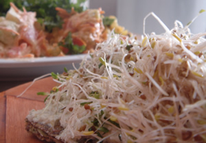 Flatbread with sunflower dill spread and sprouts