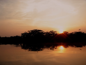 Sunset over the lagoon in the Cuyabeno reserve